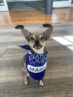 Pet Bandana