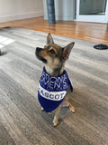 Pet Bandana